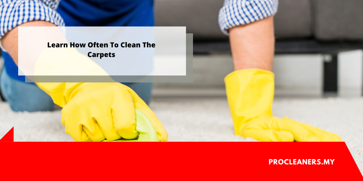 Carpet Cleaning Services